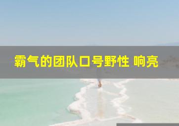 霸气的团队口号野性 响亮